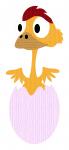 Chick in Egg