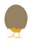 Chick in Egg