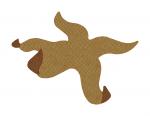 Brown Starfish