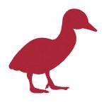 Duckling