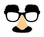 Disguise