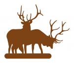 Elk
