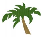 Palm Tree