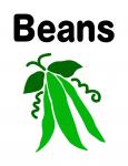 Beans