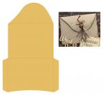 Curved Flap Envelope