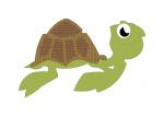 Silly Turtle