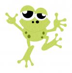 Froggy Boy