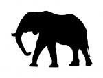 Elephant Silhouette