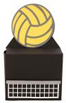 Sport Gift Box Volleyball