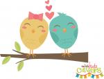 Lovebirds on Branch