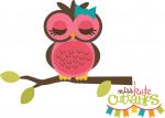 Pretty Owl on Branch
