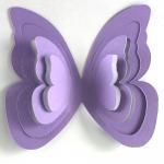 3-D Butterfly