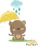 Rainy Day Bear