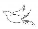 Flying Bird Sketch