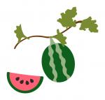 Watermelon Vine
