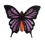 Stained Glass Purple Passion Butterfly