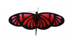 Stained Glass Ruby Red Butterfly