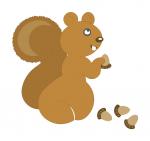 Nutty Squirrel