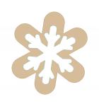 Snowflake Cookie