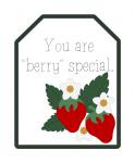 Berry Special Fruit Tag