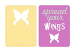 Butterfly Pocket Cards