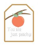 Just Peachy Fruit Tag