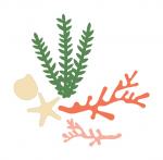 Coral and Seaweed