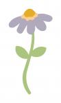 Purple Dainty Flower