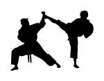 Karate Fighters
