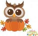 Fall Owl in Pumpkin