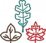 Leaf Trio Outlines