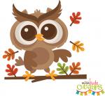 Fall Owl on Branch