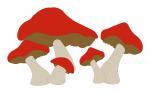 Mushroom Patch