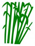 Bamboo grass