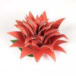 Spring Twirled Flowers Collection: Sharp Petal Flower
