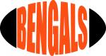 Pro Football Teams Collection: Bengals