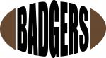 College Football Teams Collection: Badgers