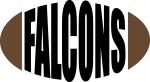 College Football Teams Collection:  Falcons