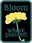 Scrapbook Pocket Cards Collection: Bloom