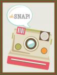 Scrapbook Pocket Cards Collection: Oh Snap
