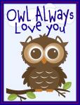 Scrapbook Pocket Cards Collection: Owl Always Love You