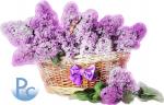 Watercolor Lilac Basket Click HERE for SVG 