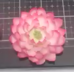 3D Dahlia Flower
