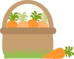 Basket of Carrots
