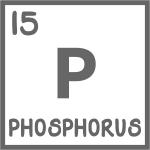 P Phosphorus