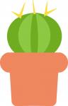 Potted Cactus Short