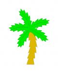 Palm Tree