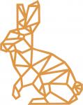 Geometric Rabbit