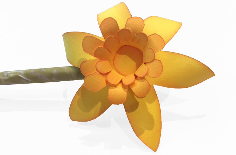 3D-Daffodil-CC