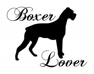 Boxer